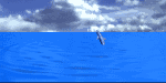 Dolphi~3.gif (38840 octets)